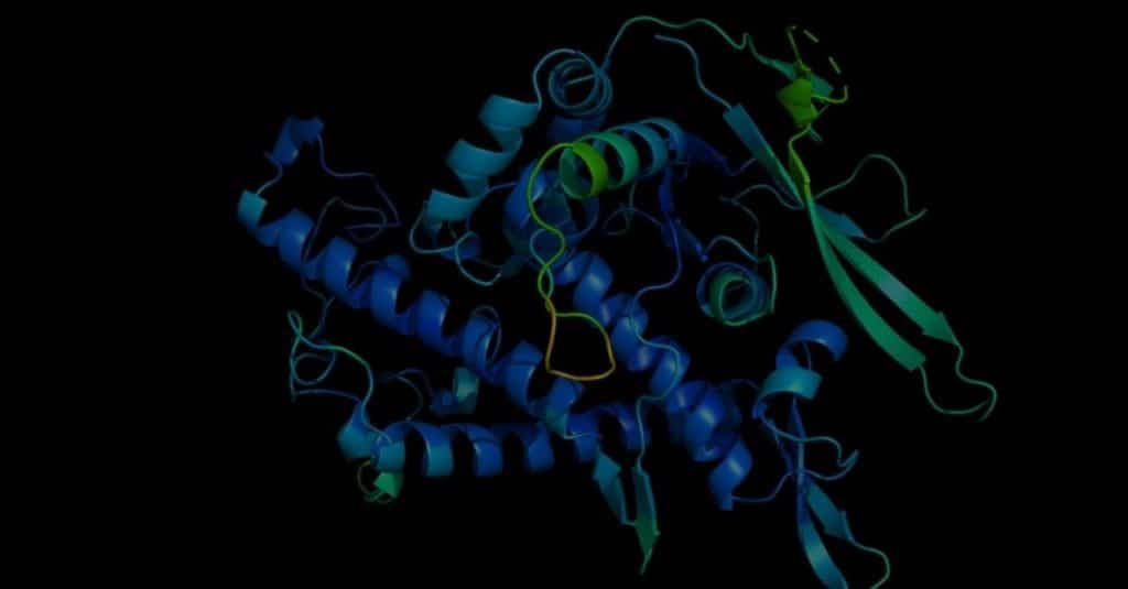 3D image of protein
